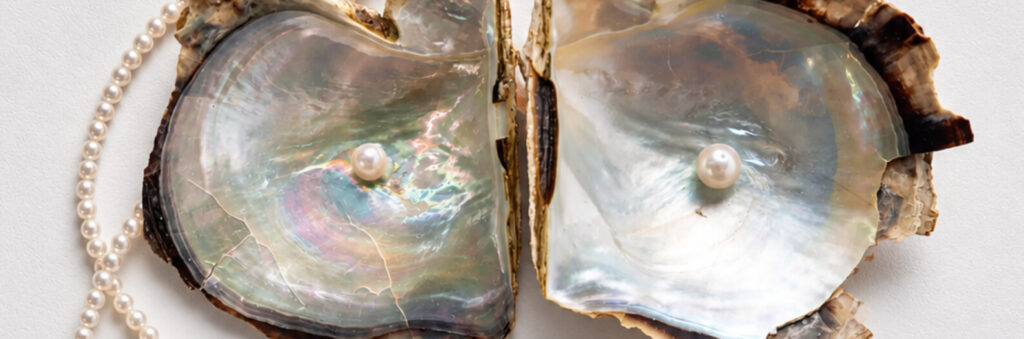 IMPERIAL Pearl two open oyster shells each holding a single pearl, beside a strand of small pearls